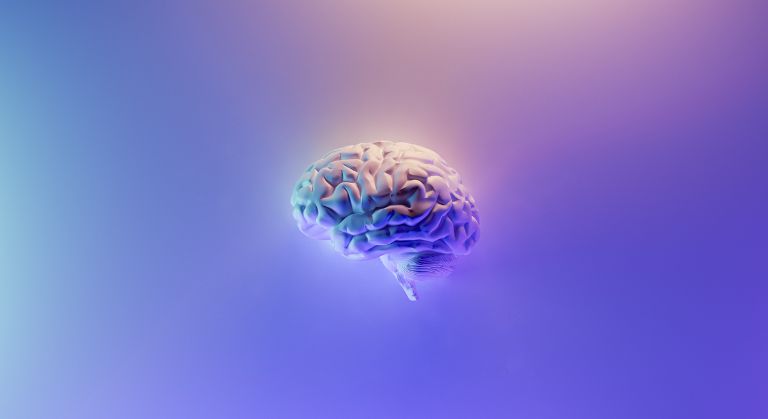 Îmbătrânirea creierului: Cum se schimbă pe măsură ce îmbătrânim?